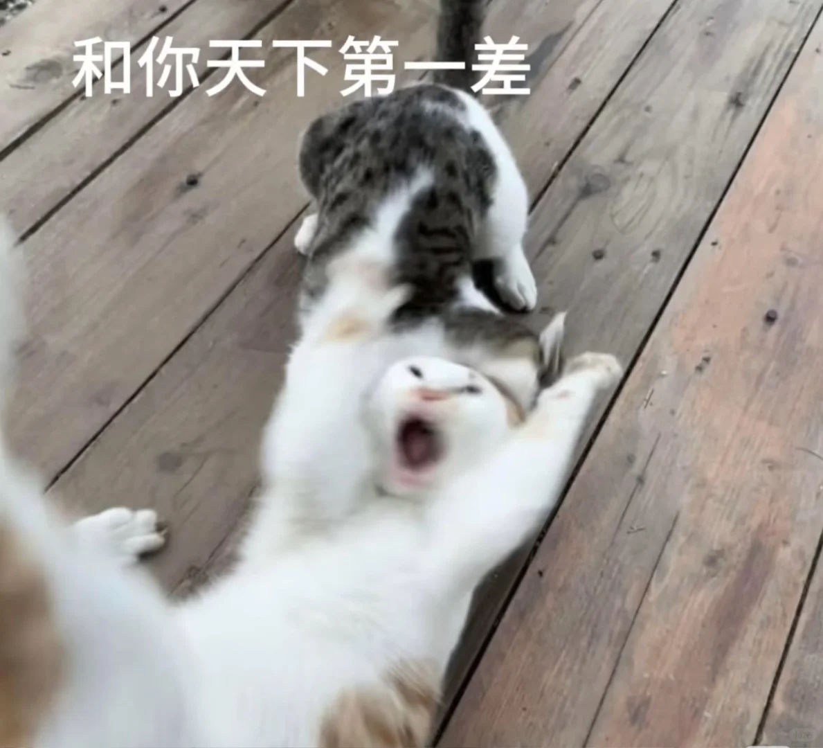 愿世间再无实习