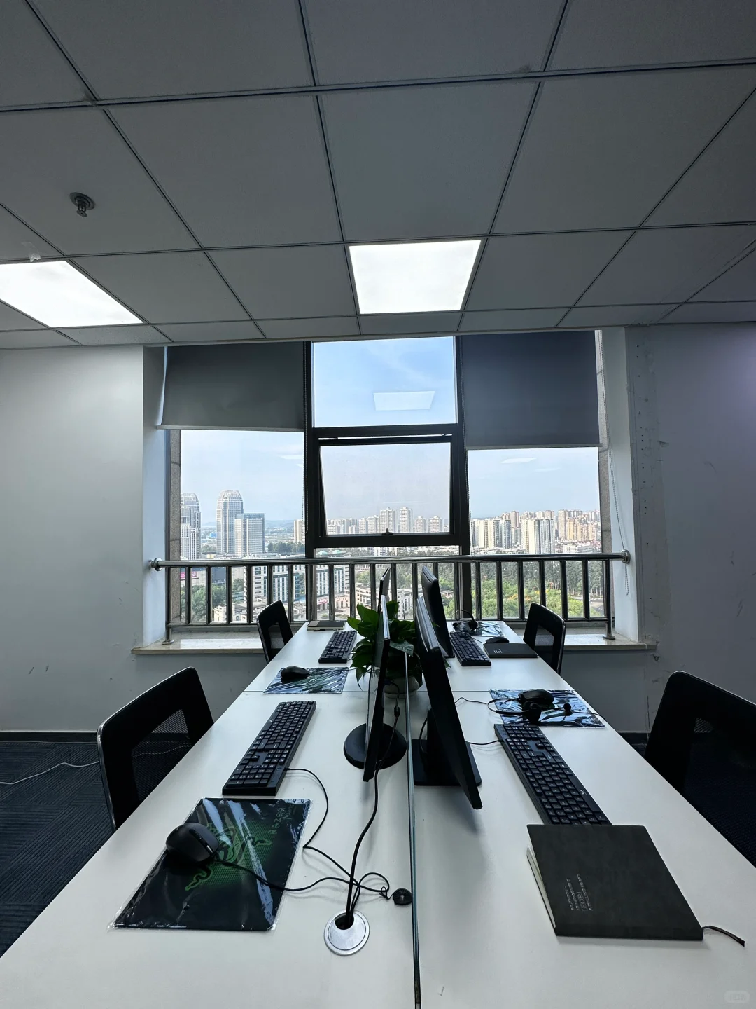 东坡招聘全职/接受小白/早九晚六/欢迎宝妈/