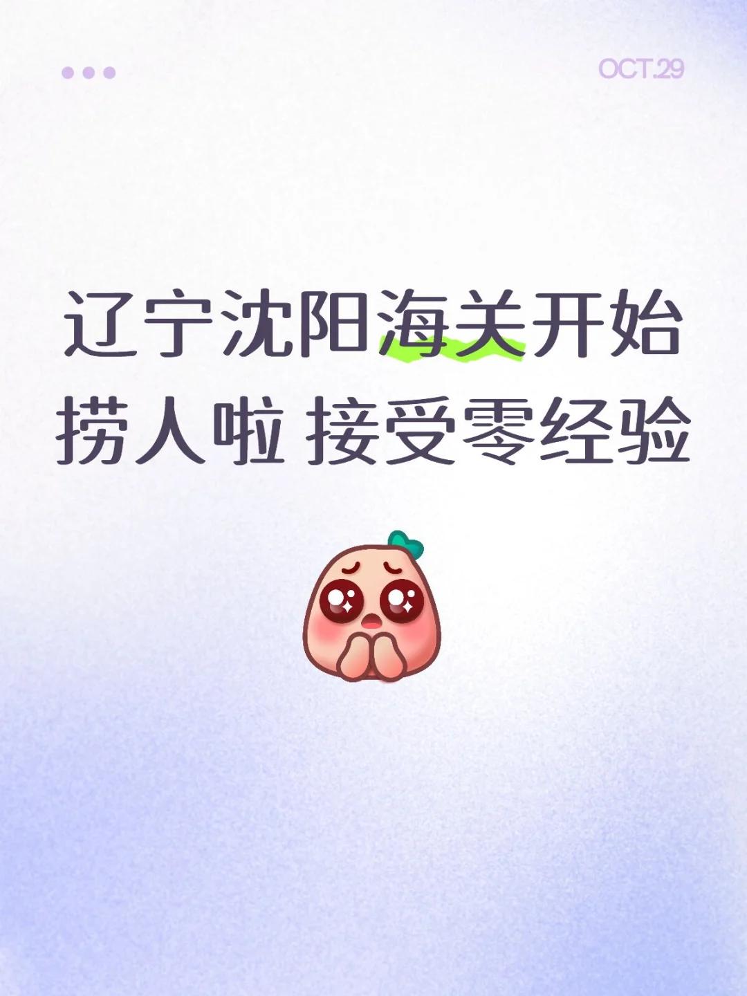 辽宁沈阳海关开始捞人啦🤩🤩🤩