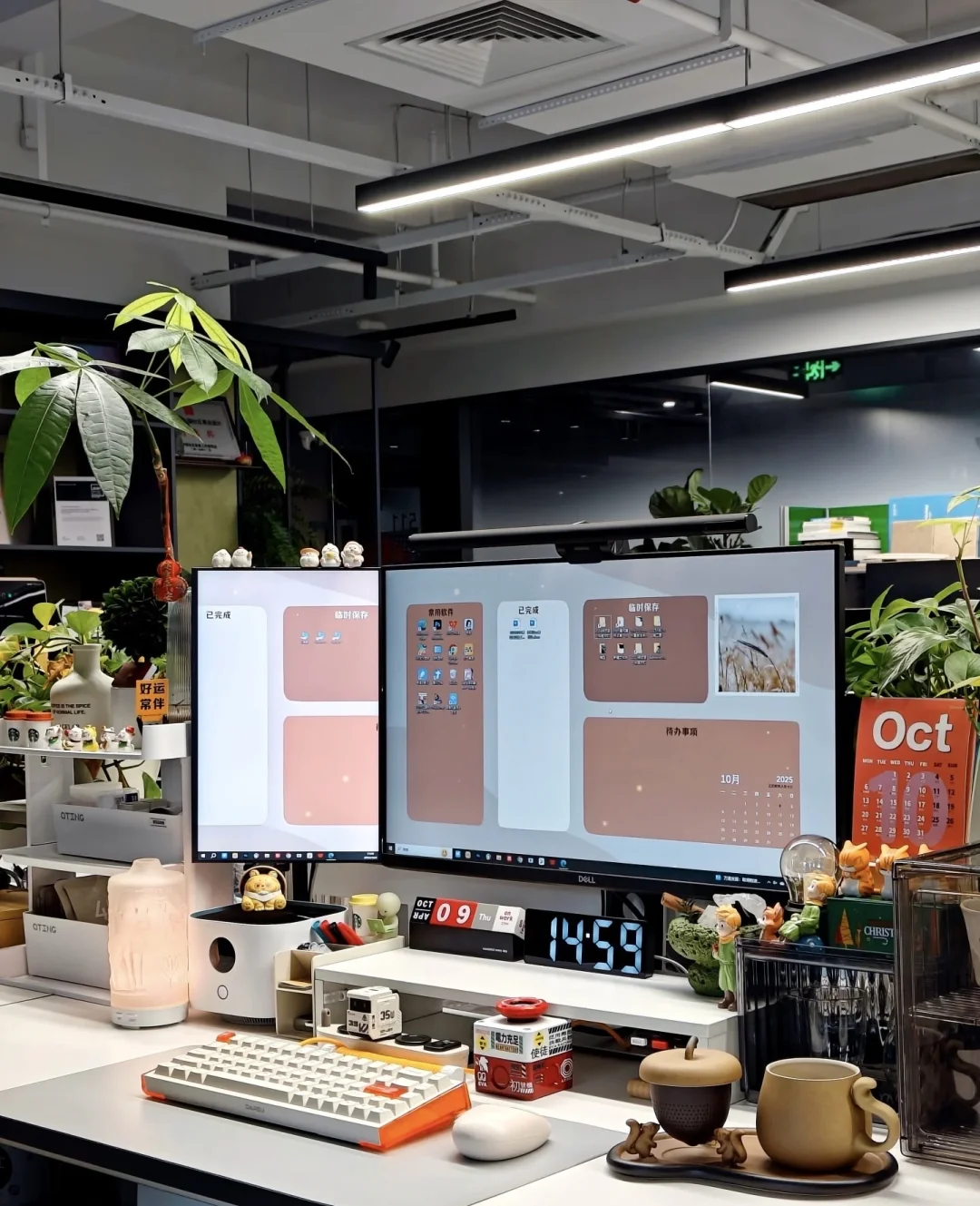 杭州初创传媒公司招聘啦！！！