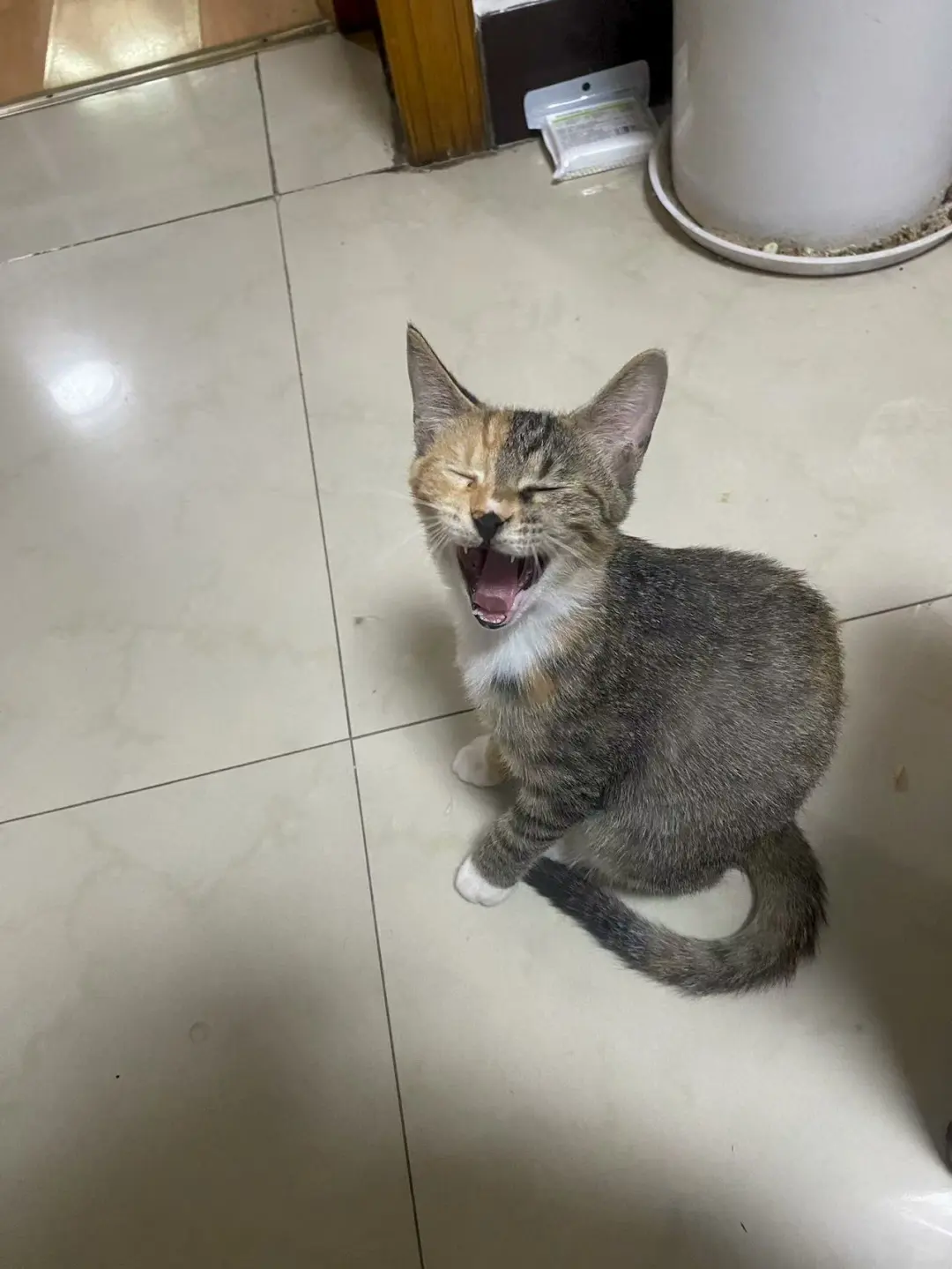 娄底涟源六亩塘招代课老师一名