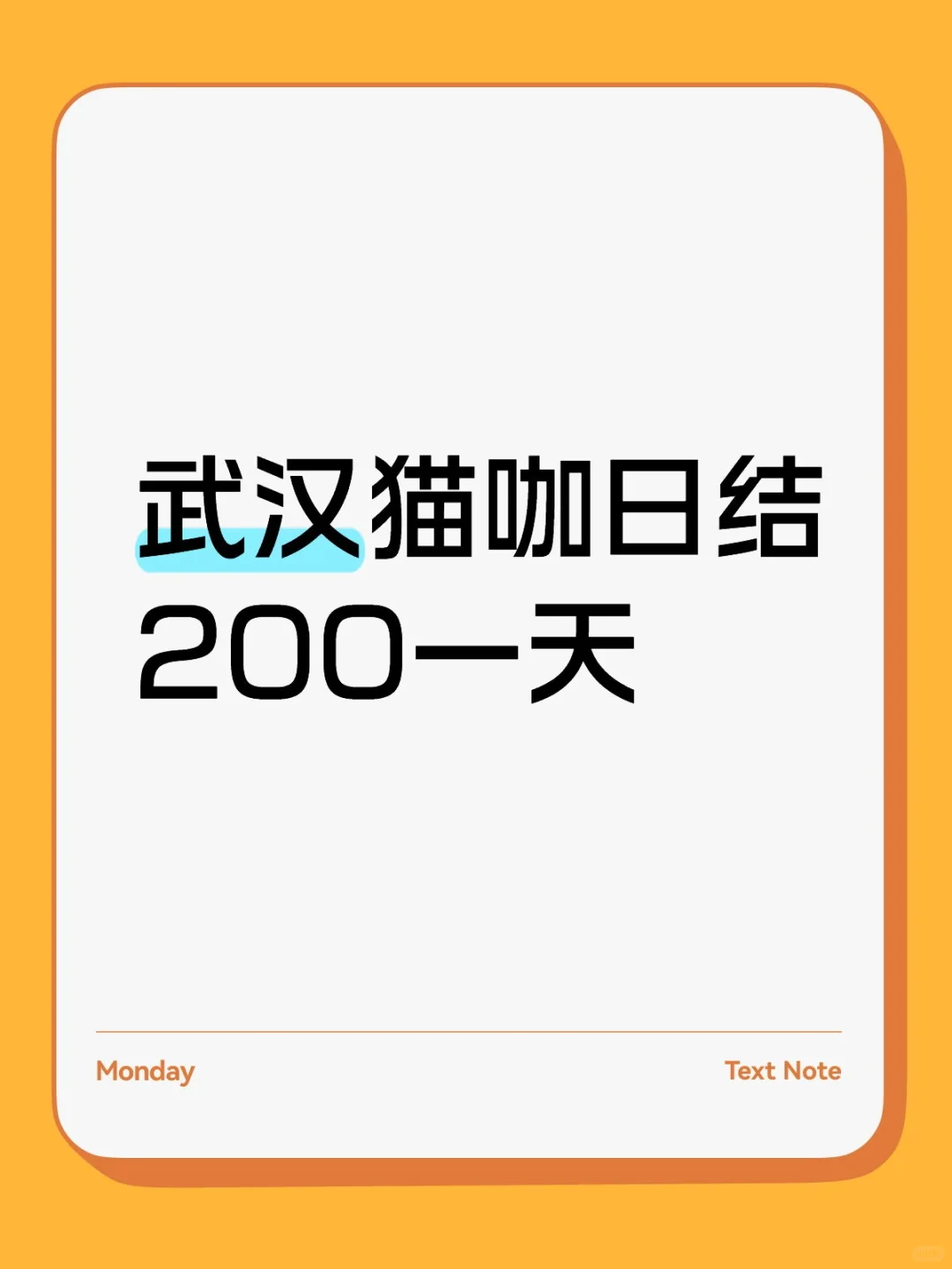 武汉猫咖日结兼职招募🐱☕想找轻松又治愈