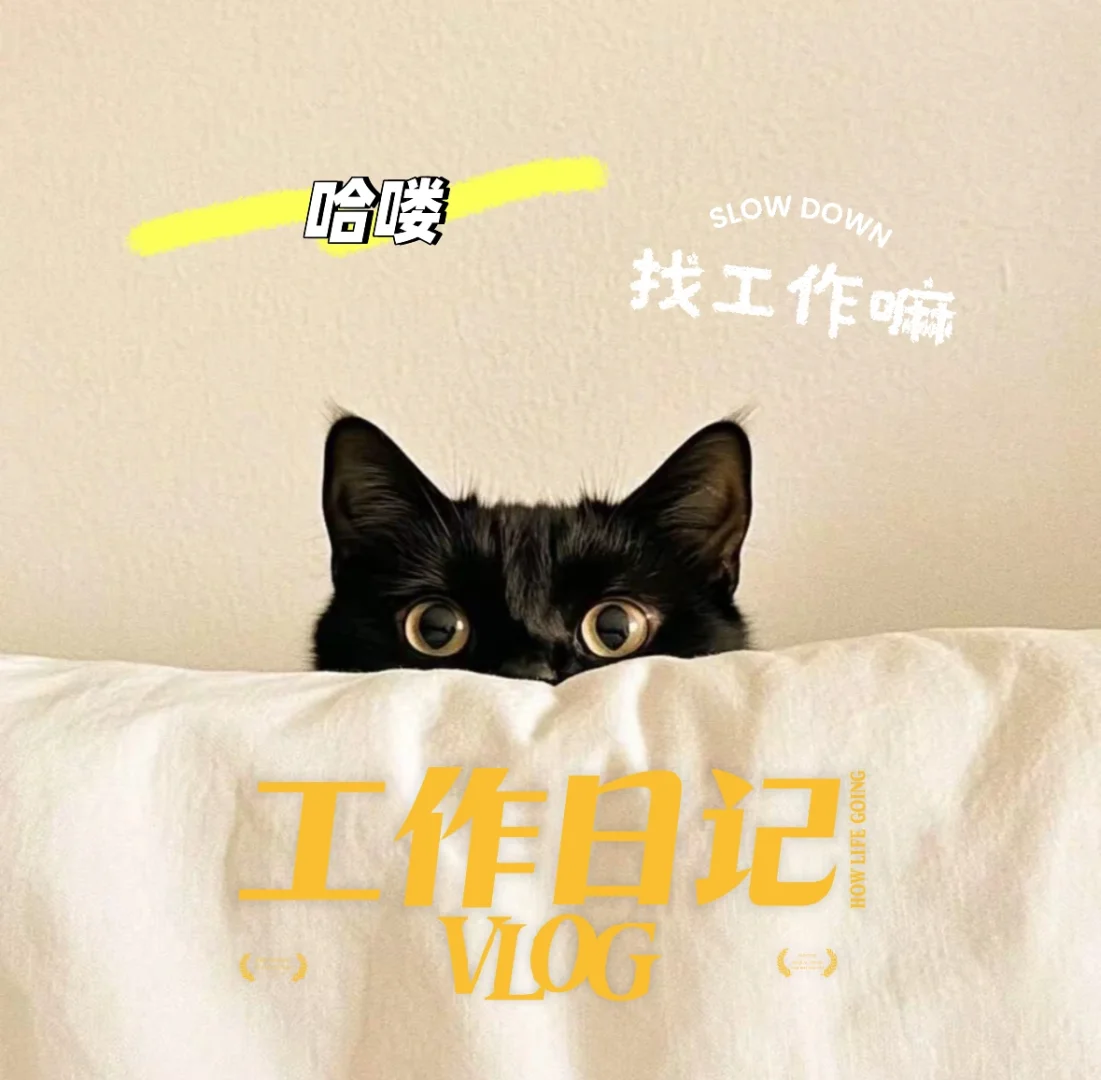 洛阳找工作看我！！！！