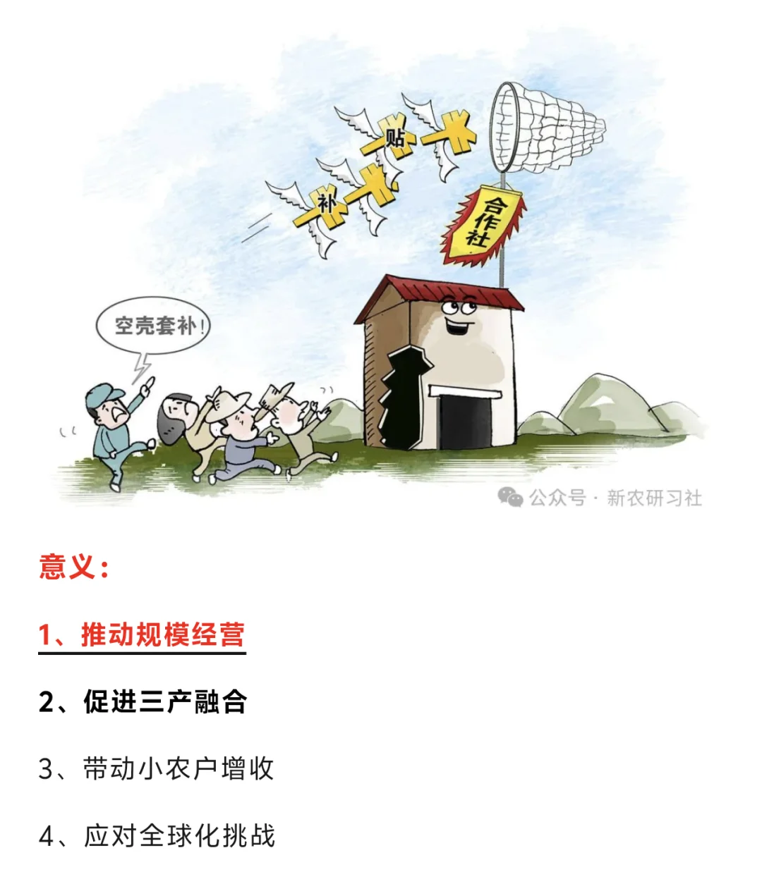 新型农业经营主体