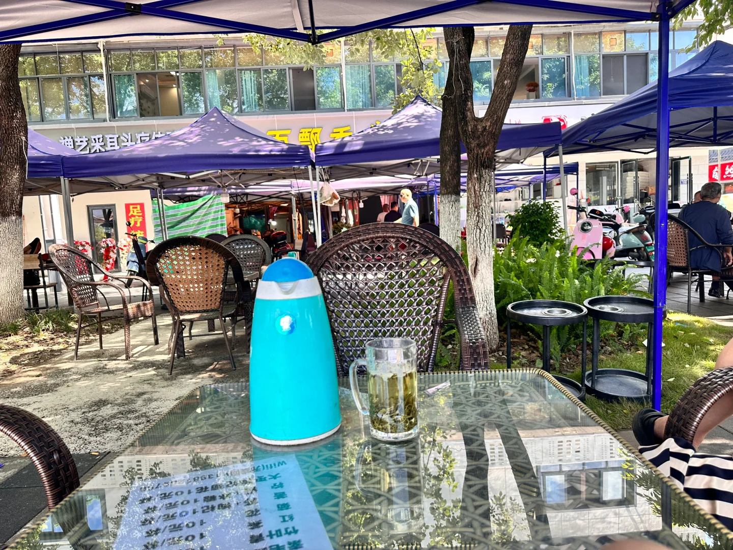 广元市利州区金橄榄新开公司招人