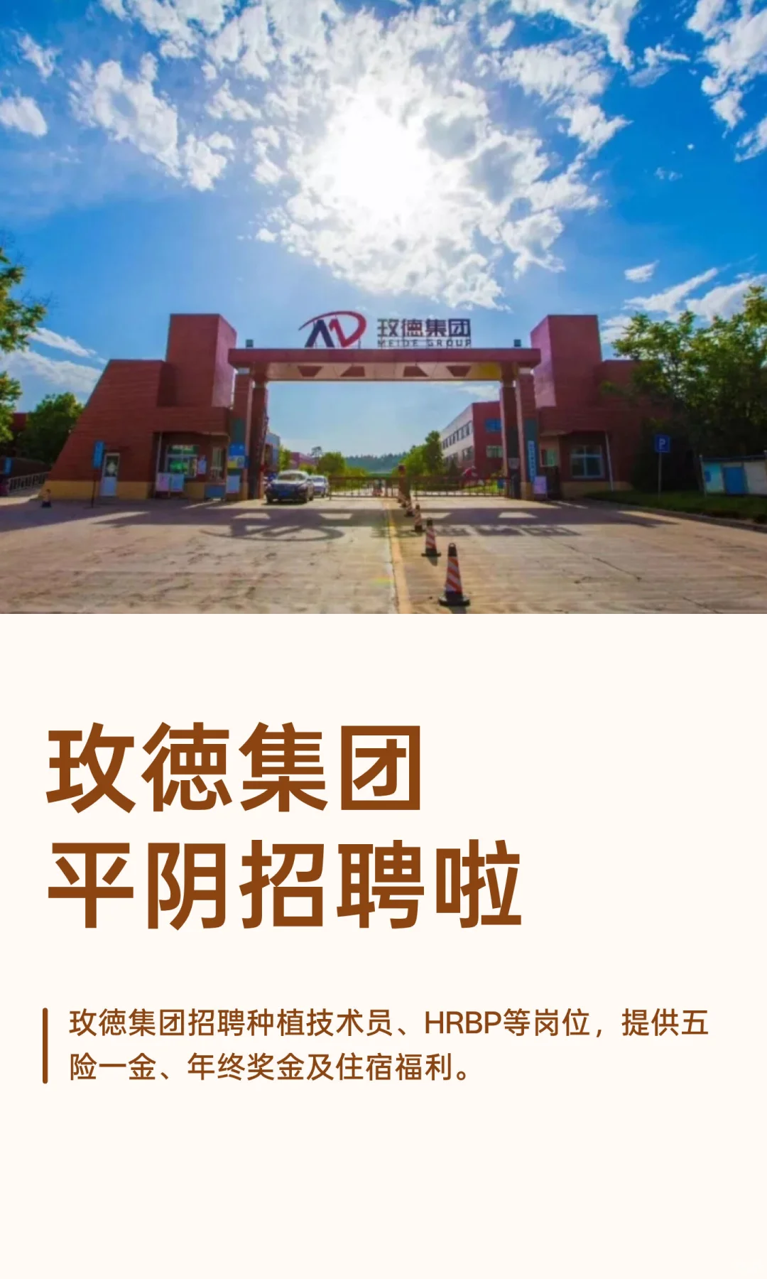 济南玫徳集团平阴招聘啦