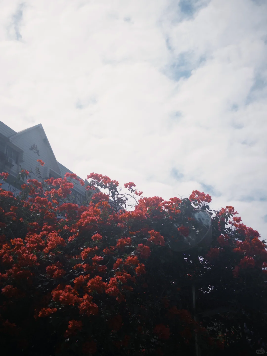 发现比失业更可怕的是不知道自己该干什么