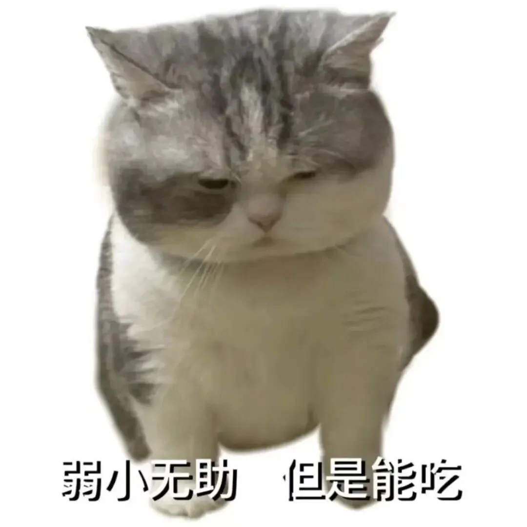 这是一个招人的帖子！！！