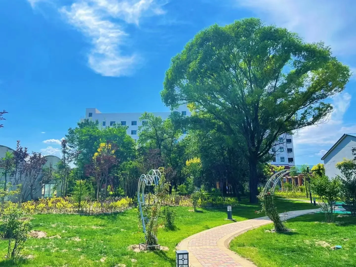 临洮奇正康养2025年招聘信息