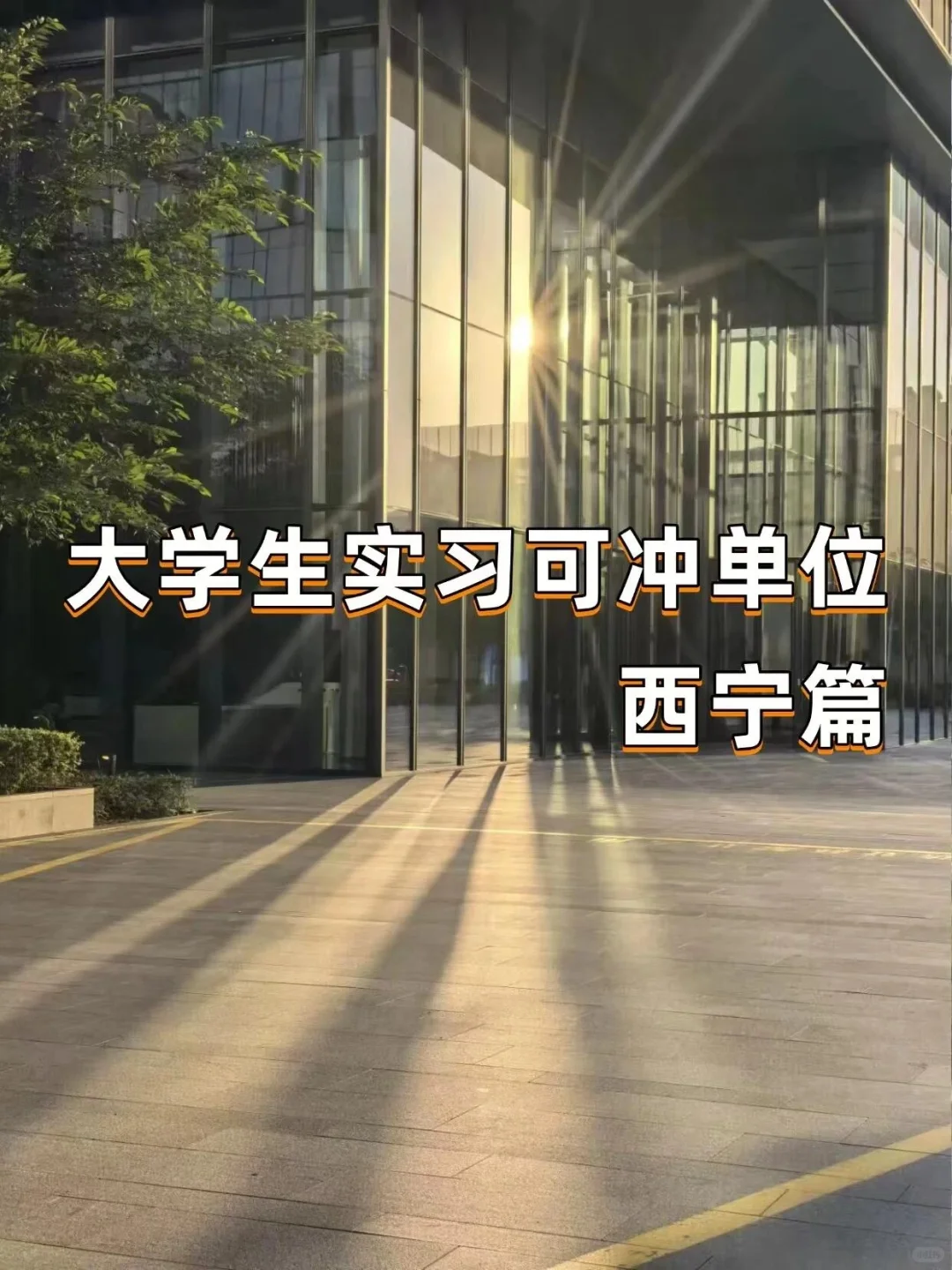 大学生实习可冲单位——西宁