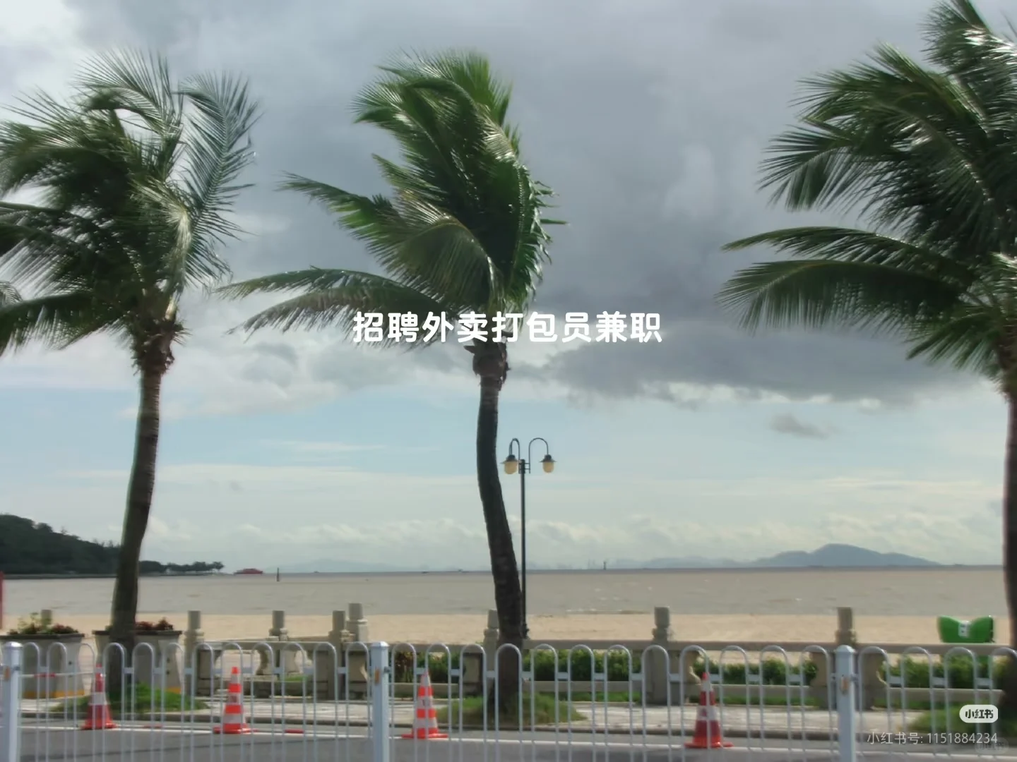 珠海有人找工作么