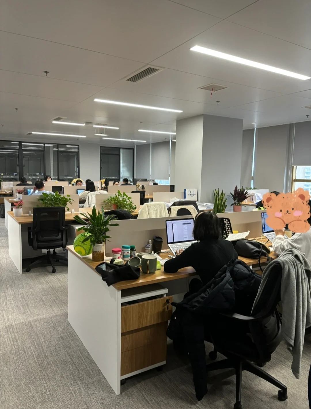 长沙芙蓉区｜公司招人啦 双休 朝九晚六