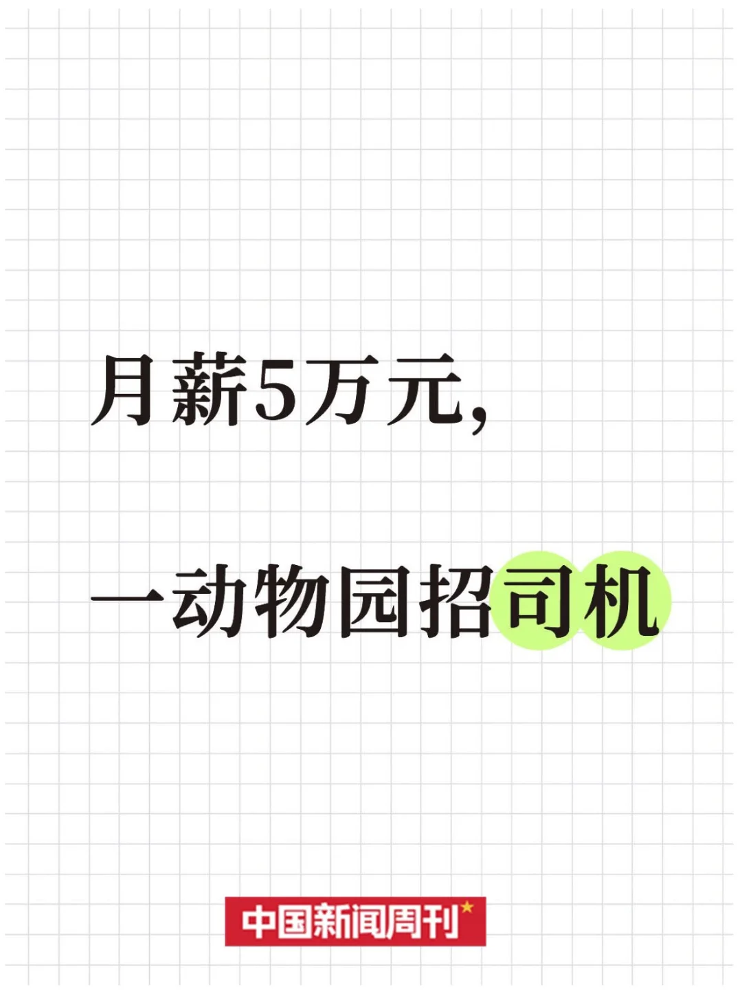 月薪5万元，一动物园招司机