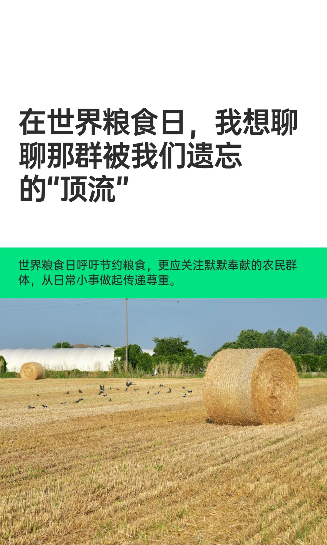 在世界粮食日，我想聊聊那群被我们遗忘的“