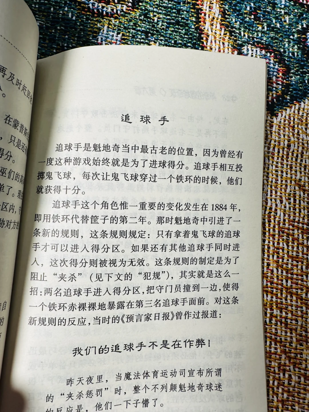 这应该是最早的《神奇的魁地奇球》了吧！！