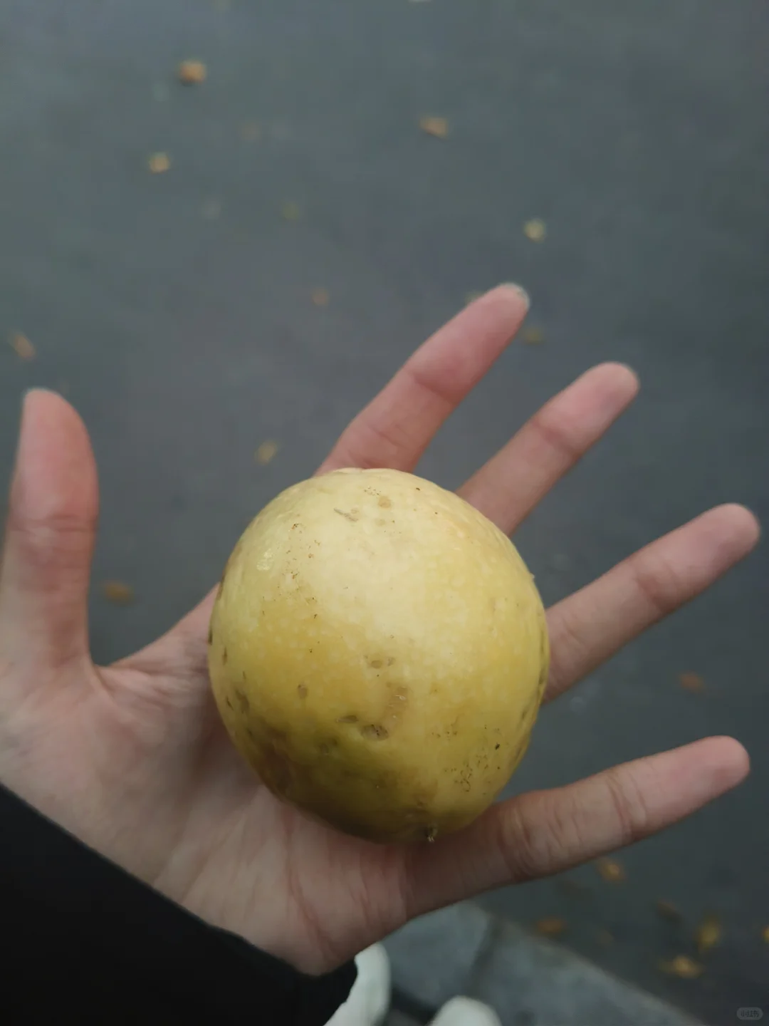 女大学生代账公司实习一个月有了自己的账…