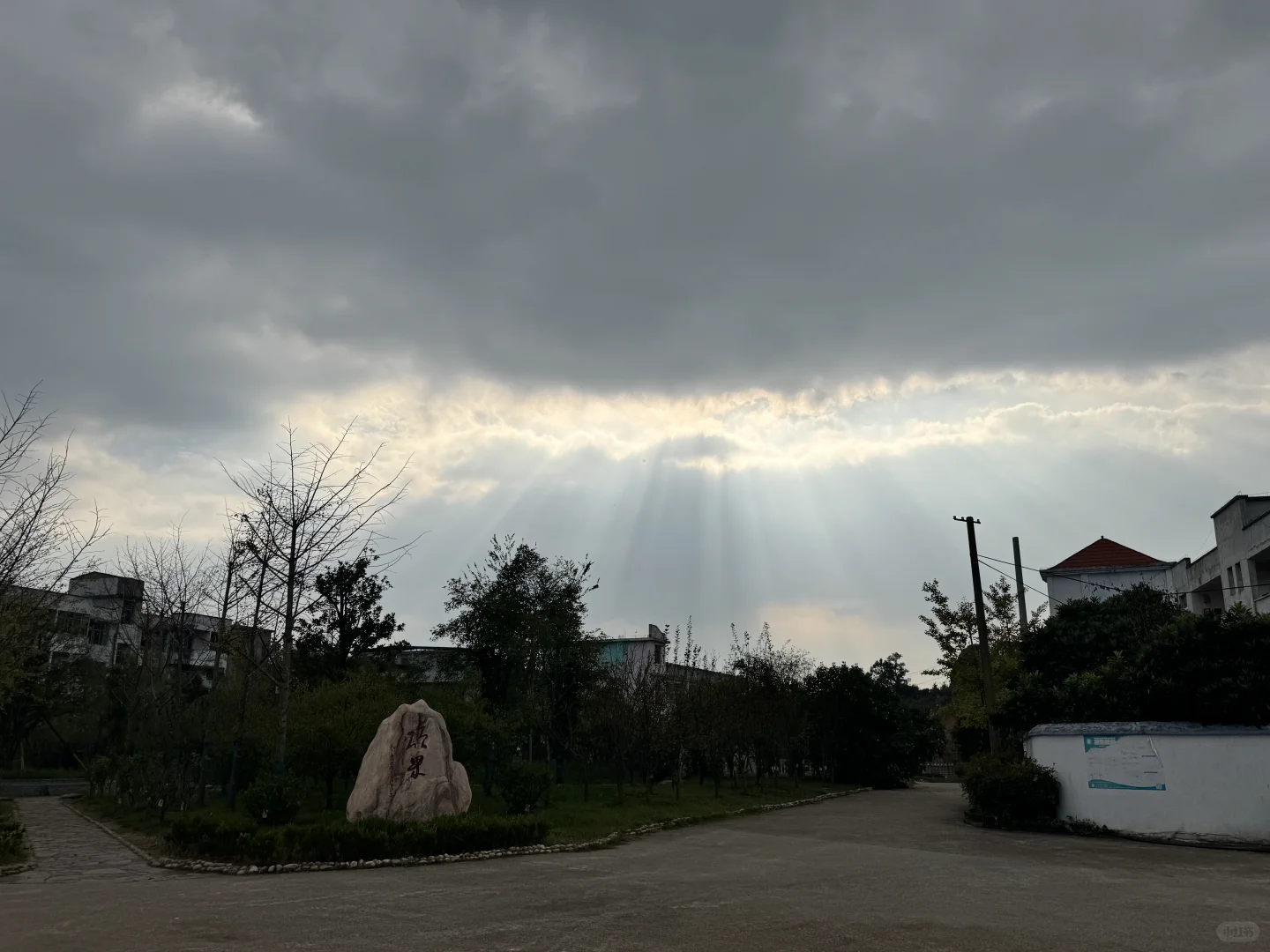 后来她如愿考上了编制