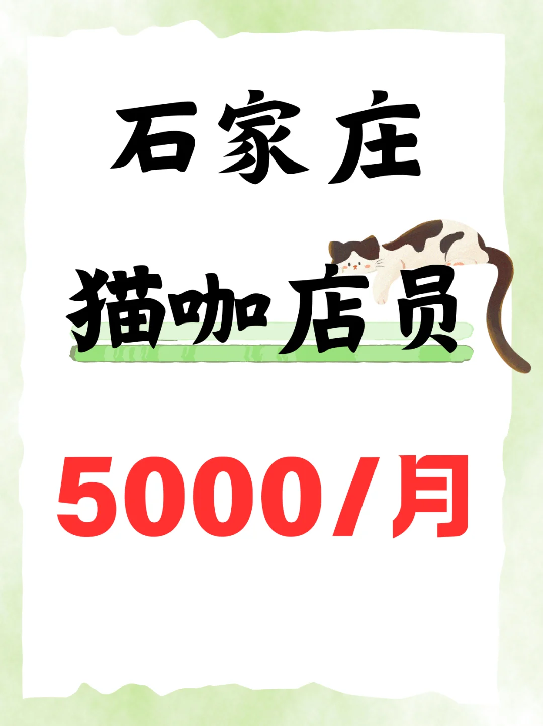 石家庄猫咖店员，5000~