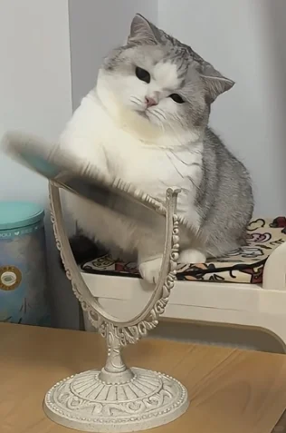 滨江区劳动保障编外-38周岁朋友可以试试