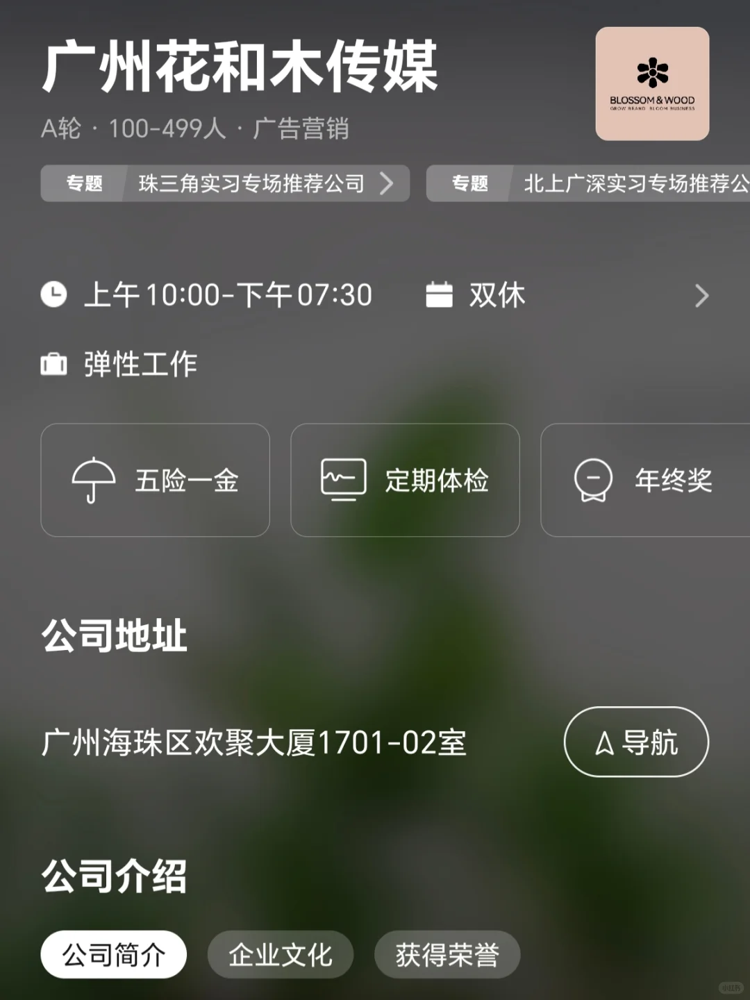 广州小而美双休公司 互联网篇