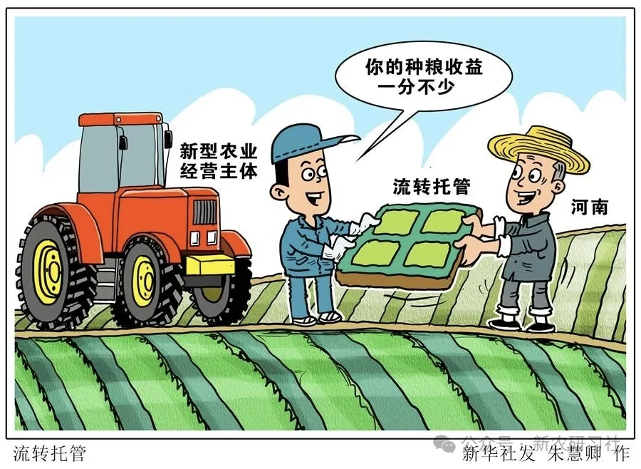 新型农业经营主体