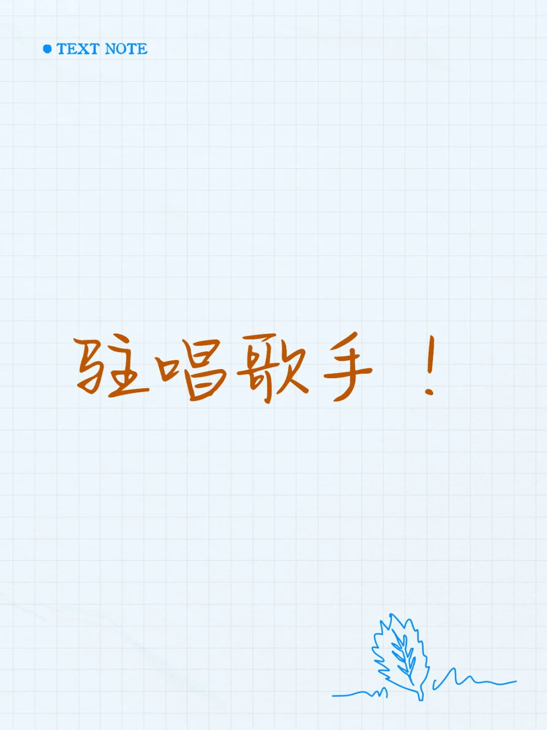 驻唱歌手一天500➕