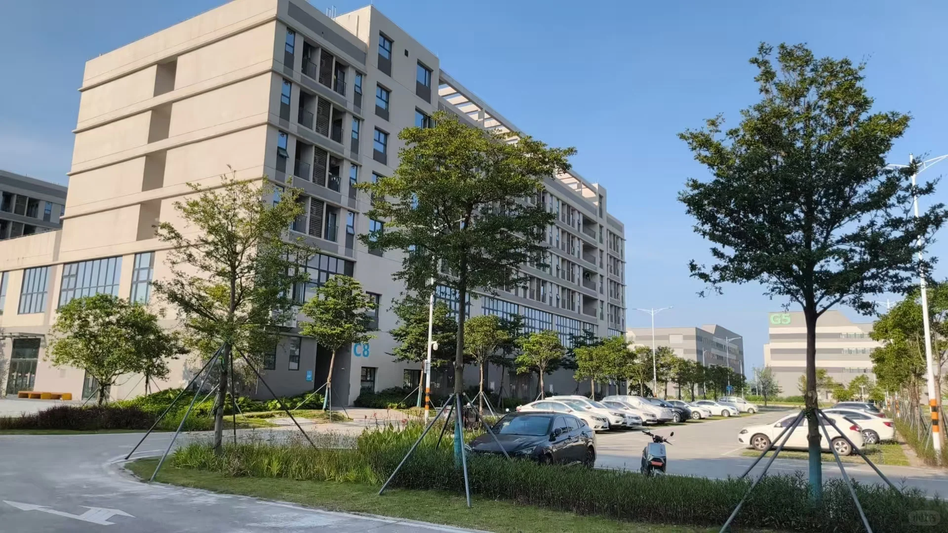 珠海新厂开招 岗位自选 独立岗位坐岗