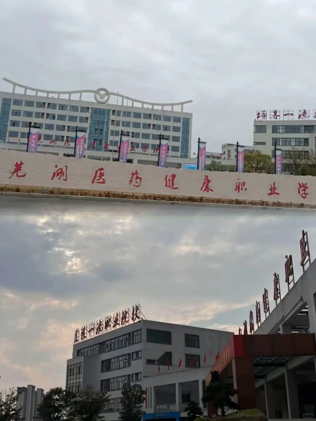 芜湖医药健康职院已离职，给后来者避避坑