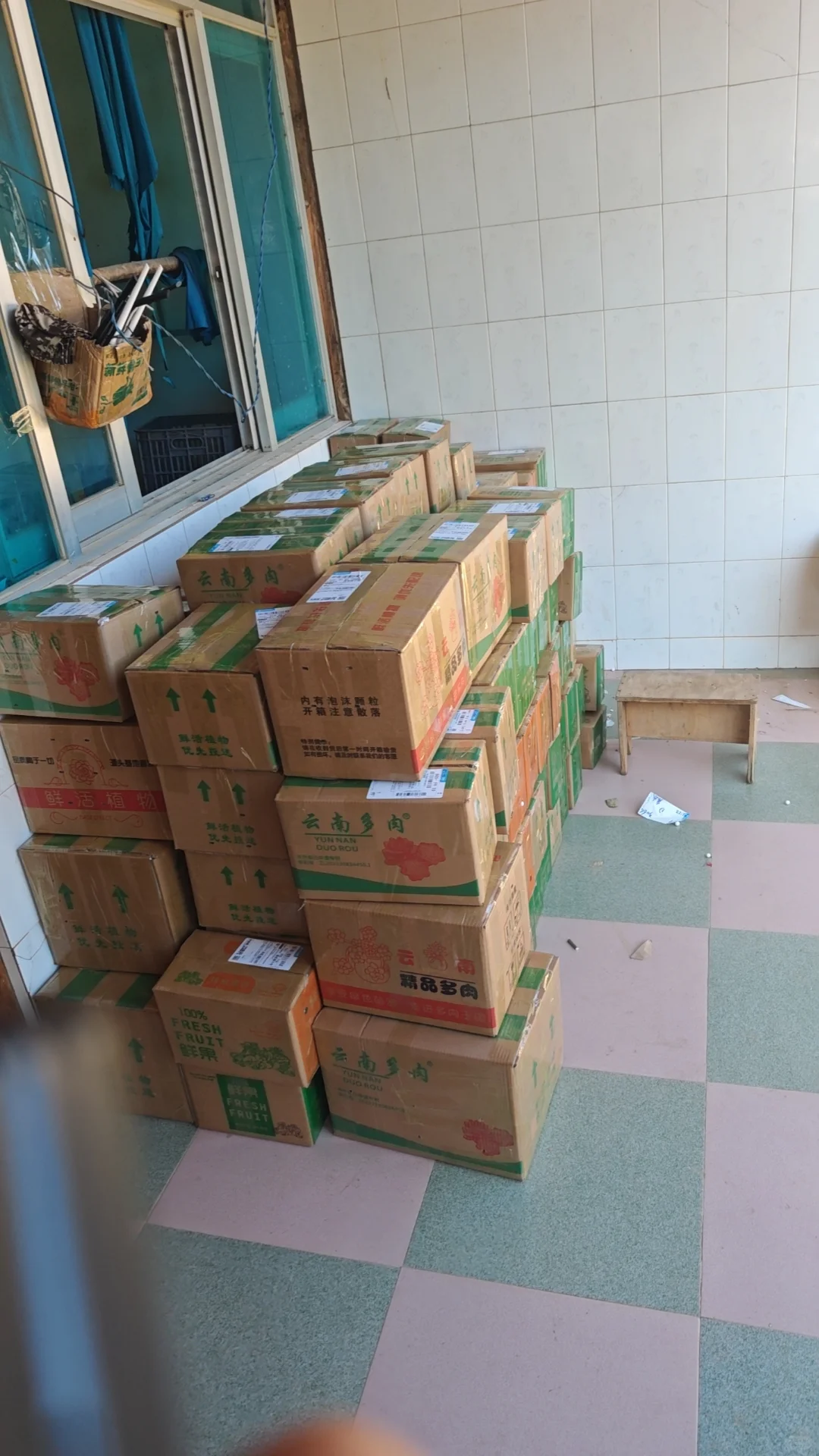 大理海东找个打包的兄弟