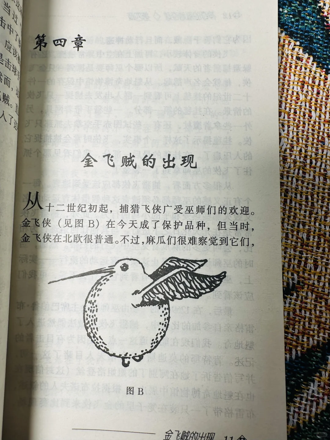 这应该是最早的《神奇的魁地奇球》了吧！！