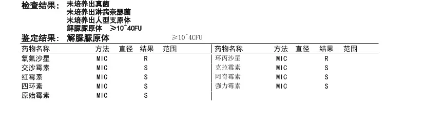 解脲脲原体阳性！！居然需要这么多药？！