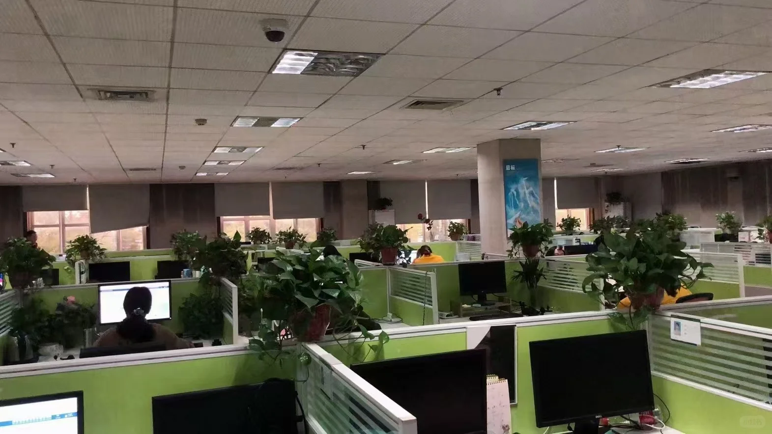 邮政客服 8小时 白班 无销售 坐班 非居家