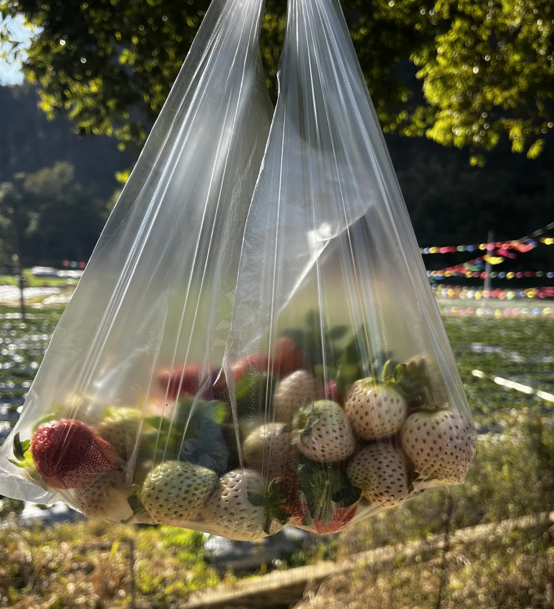 阳江酒店文旅主播招聘！