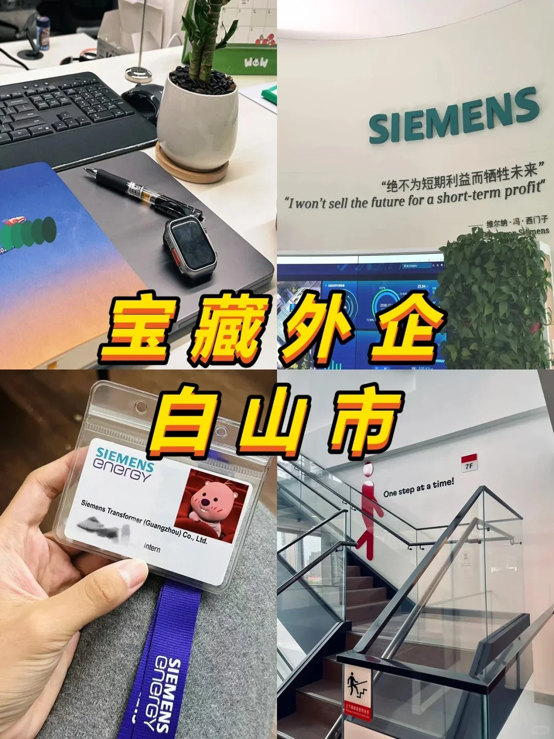 宝藏外企——白山市