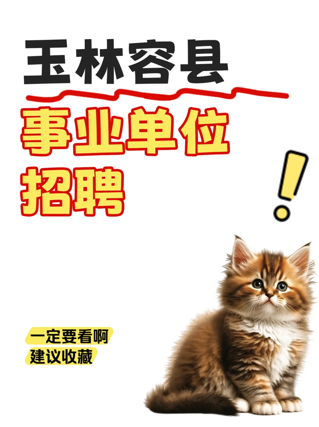 广西辅警招聘享财政工资🎁