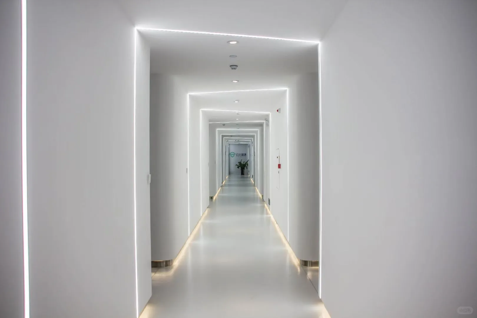 横琴医疗企业招聘！