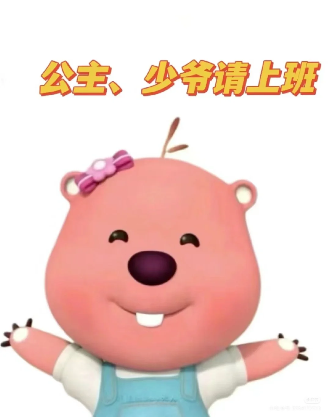 北京大兴急招新媒体运营