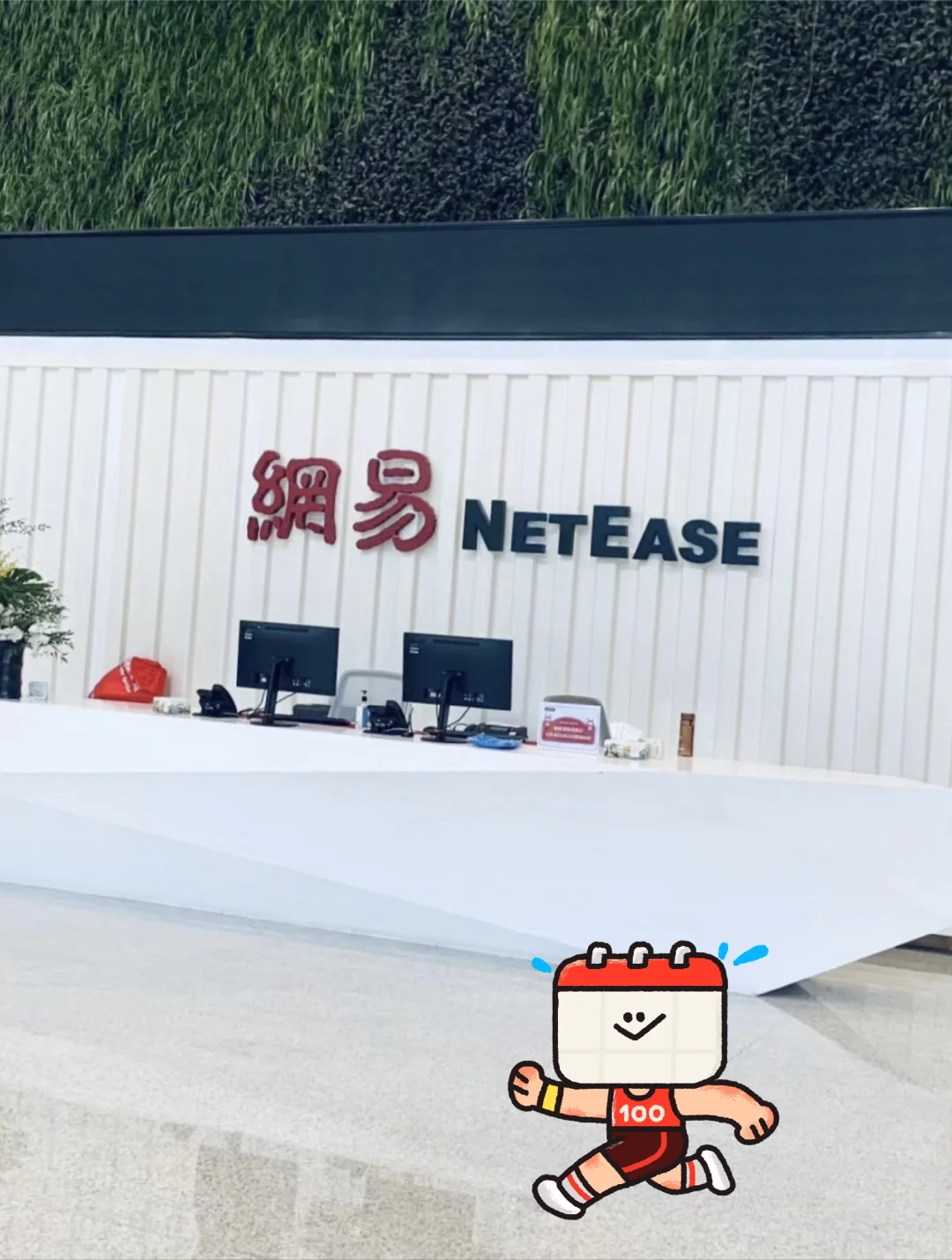 网易组内缺人，有11月能来的吗？