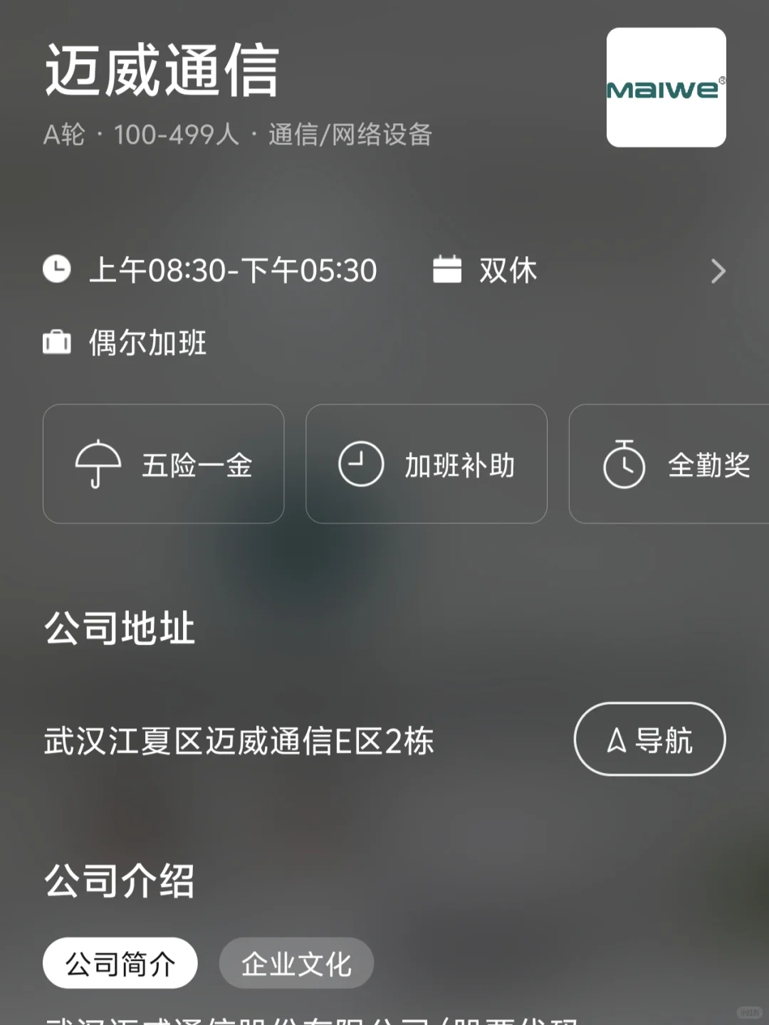 武汉双休小而美企业 往届友好版