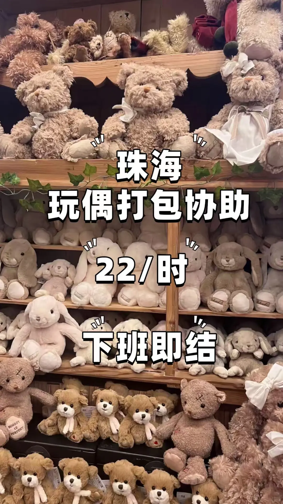 珠海玩偶打包协助兼职招聘🧸