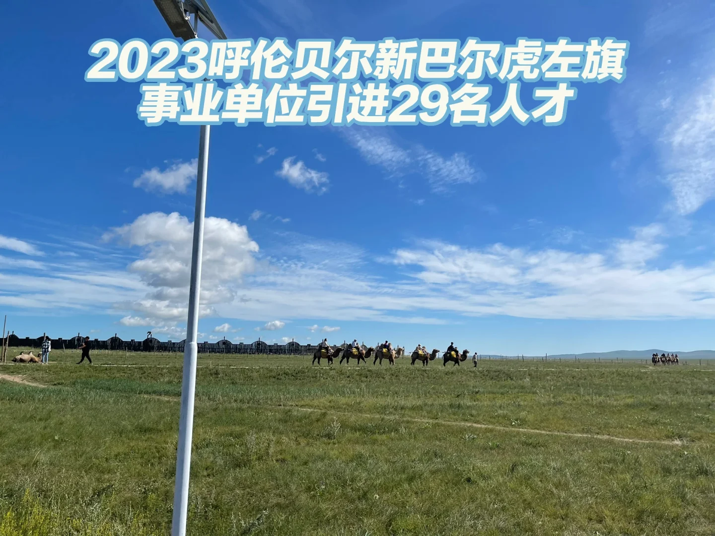 2023呼伦贝尔新巴尔虎左旗事业单位引进29人