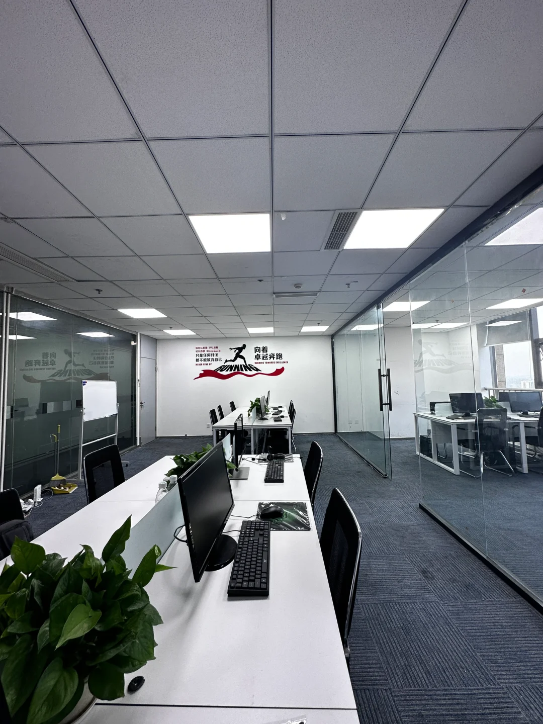 东坡招聘全职/接受小白/早九晚六/欢迎宝妈/