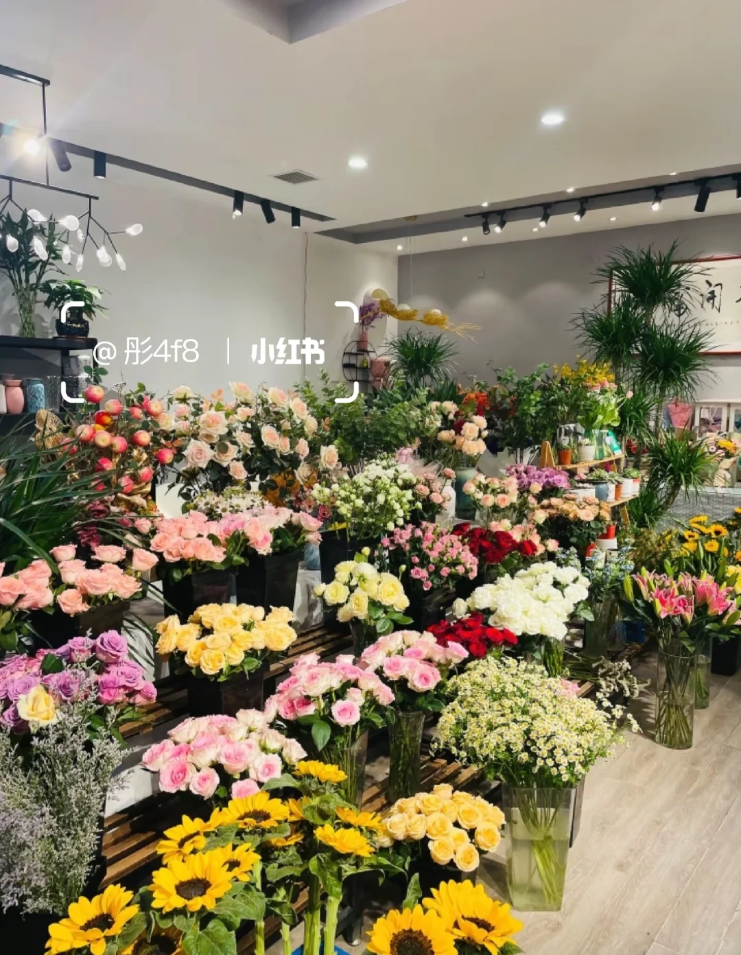沧州花店兼职招聘