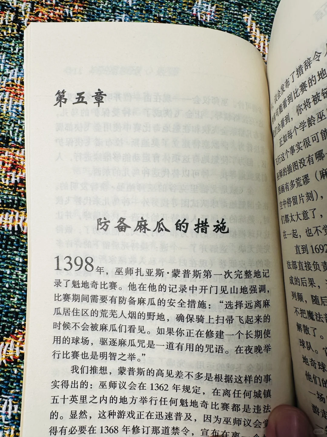 这应该是最早的《神奇的魁地奇球》了吧！！