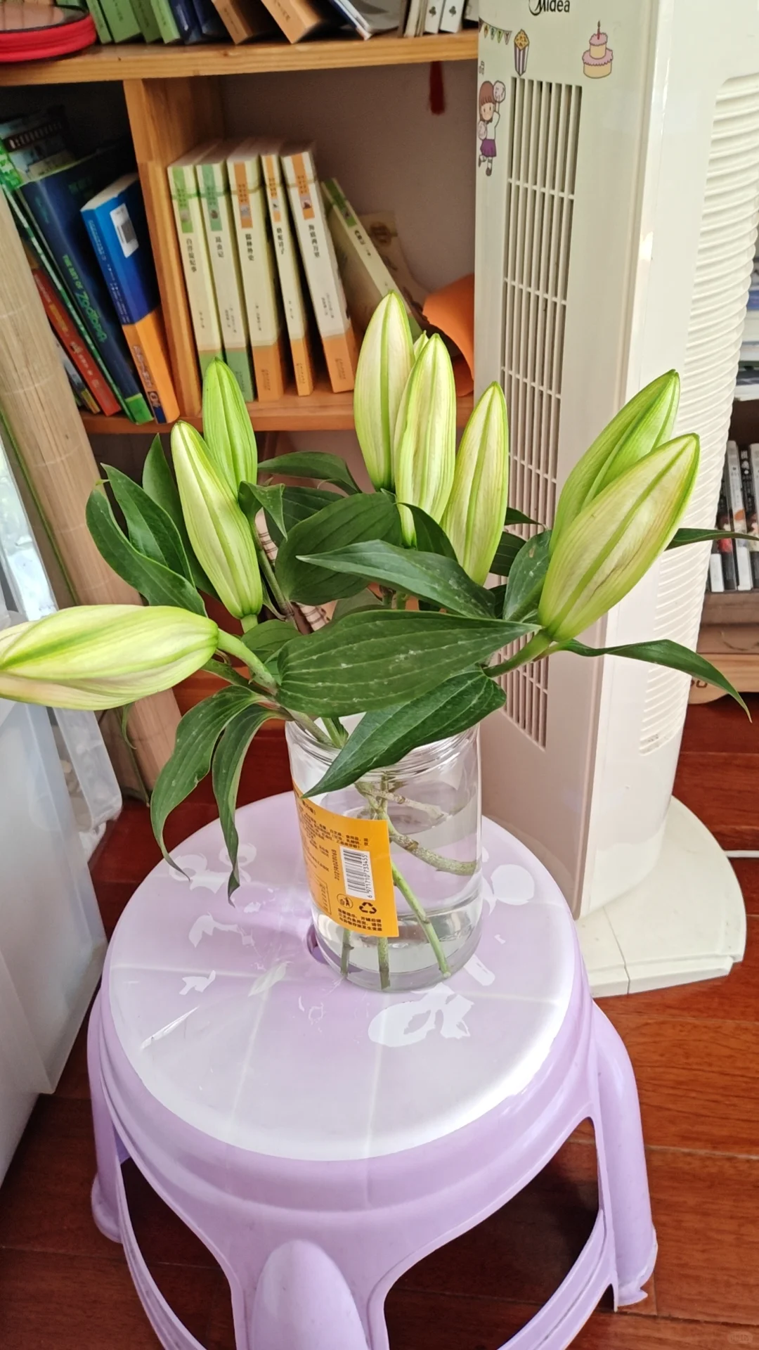 金华金东区招聘HR啦！