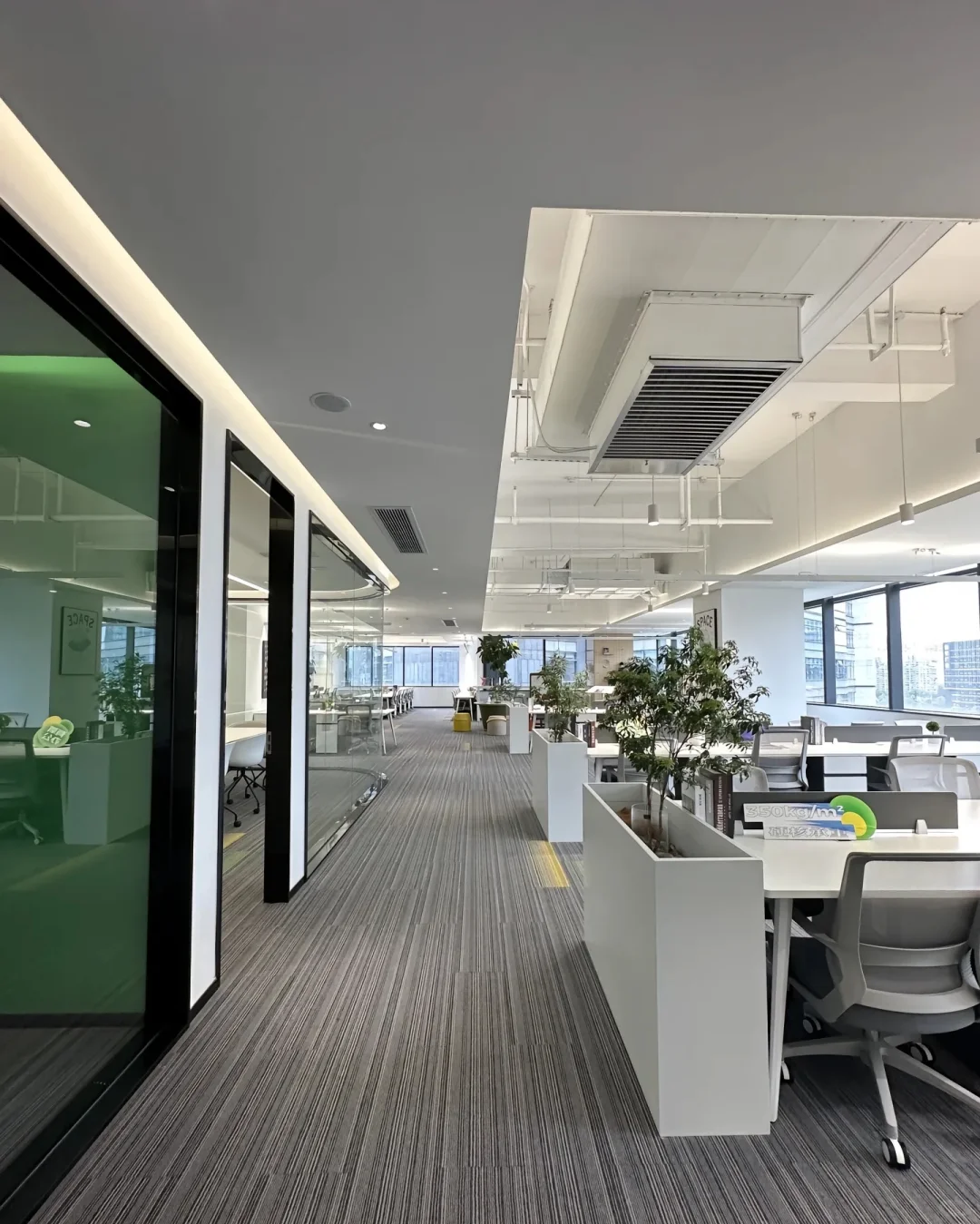 人事招聘，速来⌚