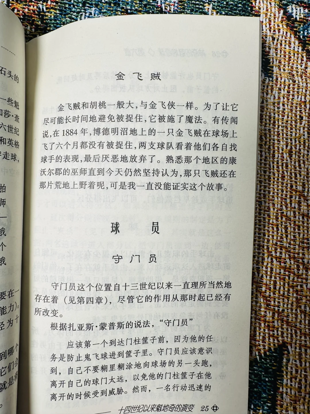 这应该是最早的《神奇的魁地奇球》了吧！！