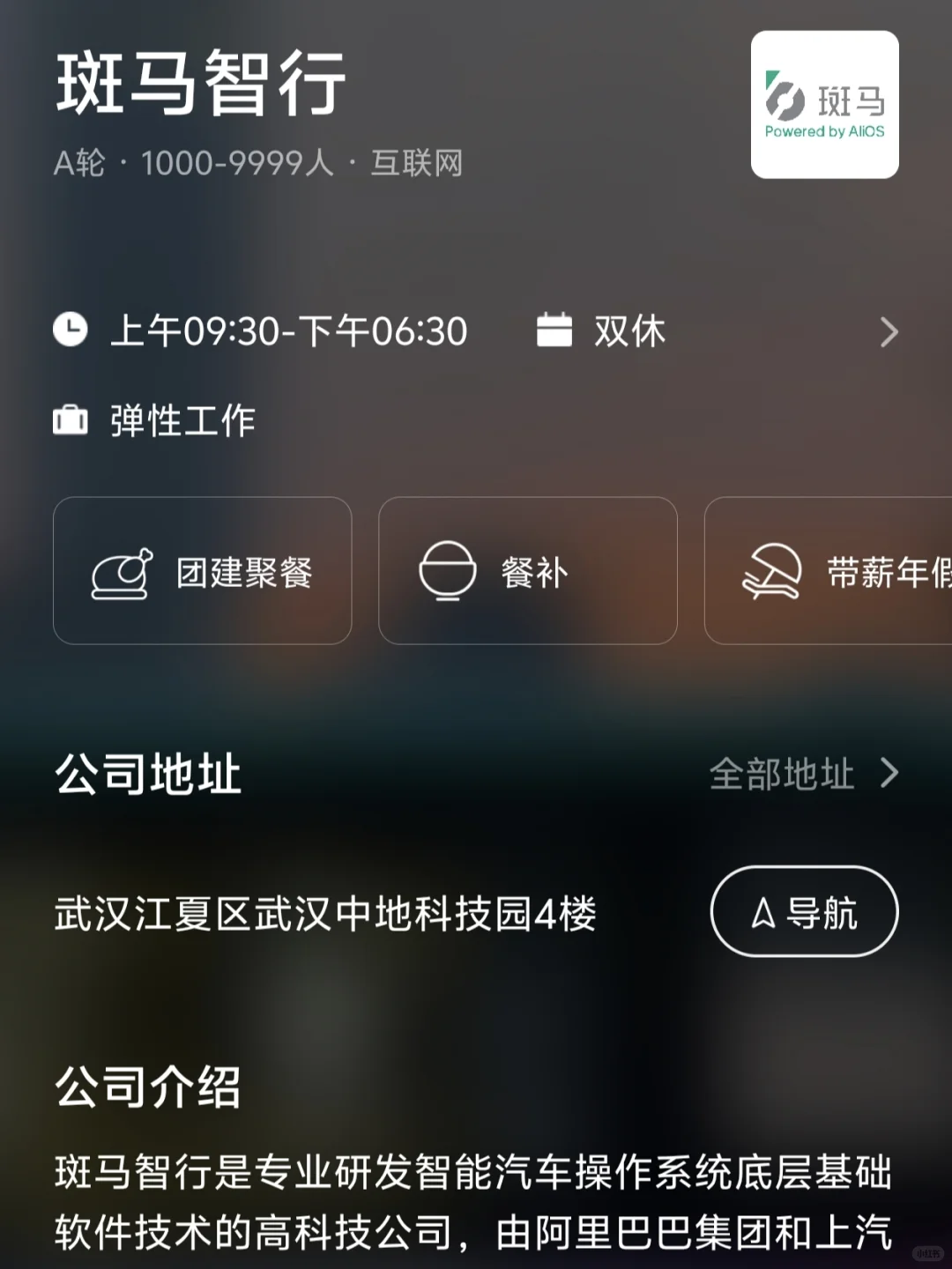 武汉双休小而美企业 往届友好版