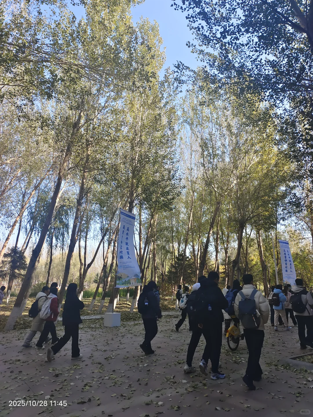 参加双选会,我感觉自己是这片浪潮下的灰烬