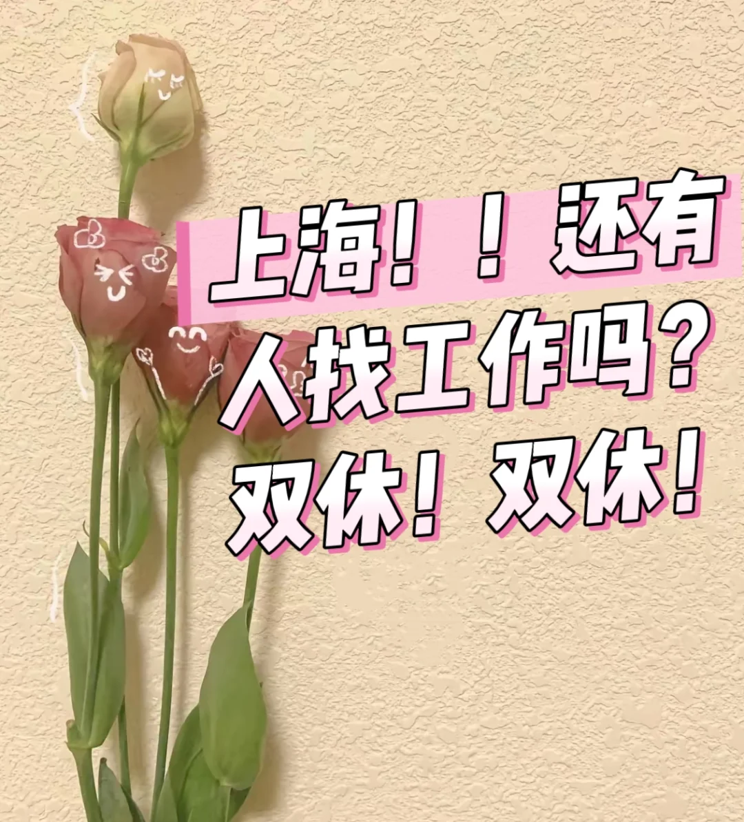 有没有上海的小伙伴找工作？